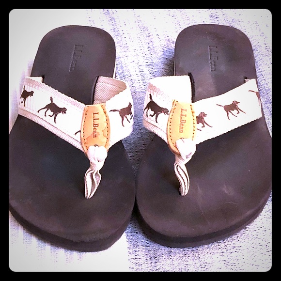 ll bean dog flip flops